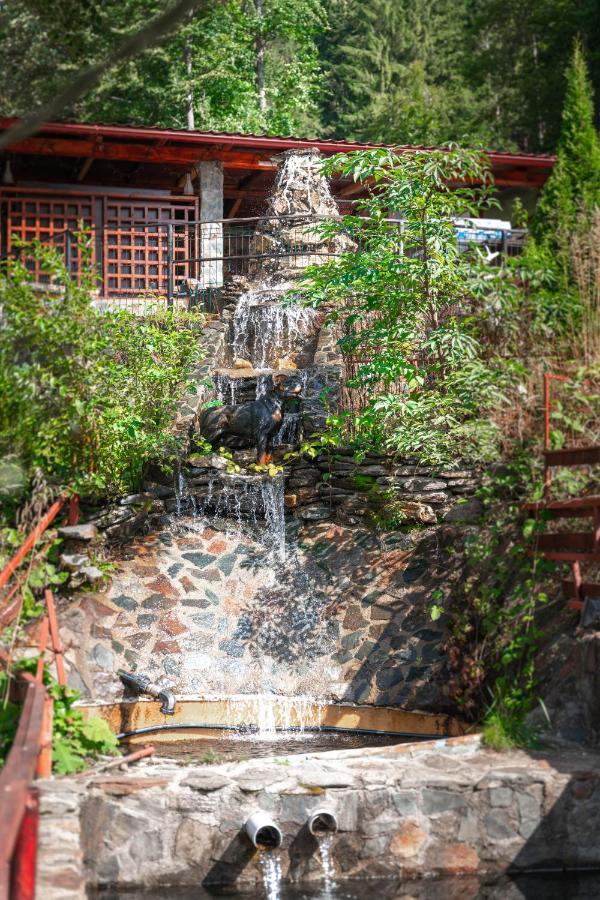 Cumpăna Piscul Negru Hotel - Transfagarasan מראה חיצוני תמונה